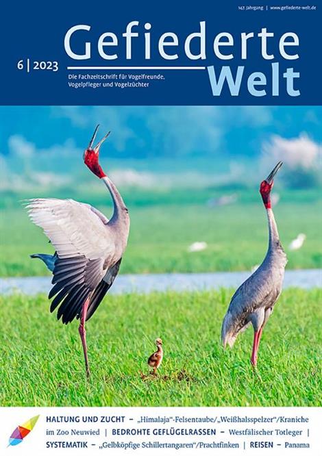 Gefiederte-Welt-Abo
