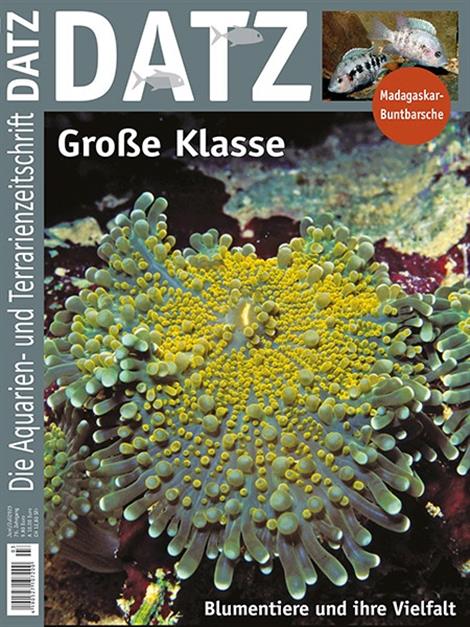 Datz-Abo