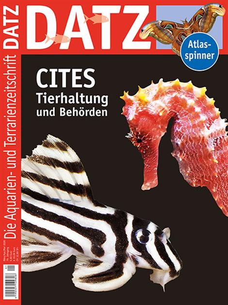 Datz-Abo