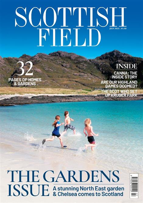 Scottish-Field-Abo