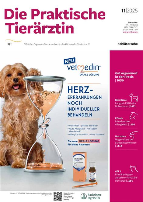 Praktische-Tieraerztin-Abo