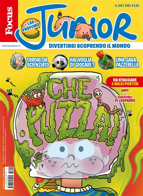 Focus-Junior-It-Abo