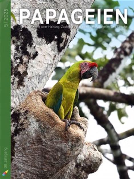 PAPAGEIEN-Abo