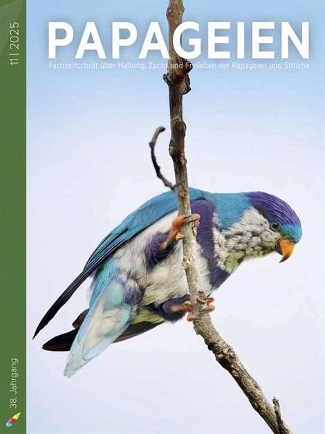 PAPAGEIEN-Abo