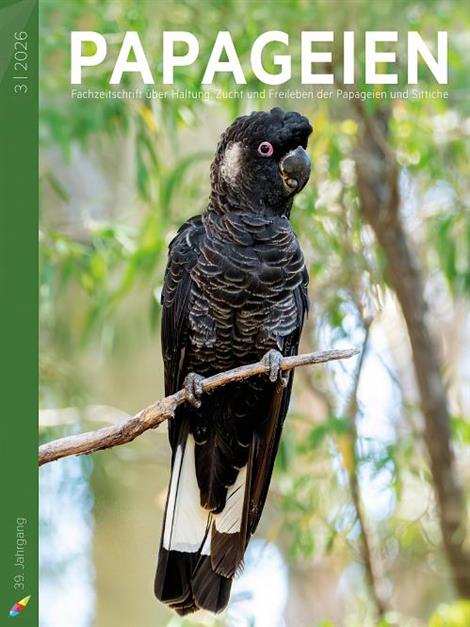 PAPAGEIEN-Abo