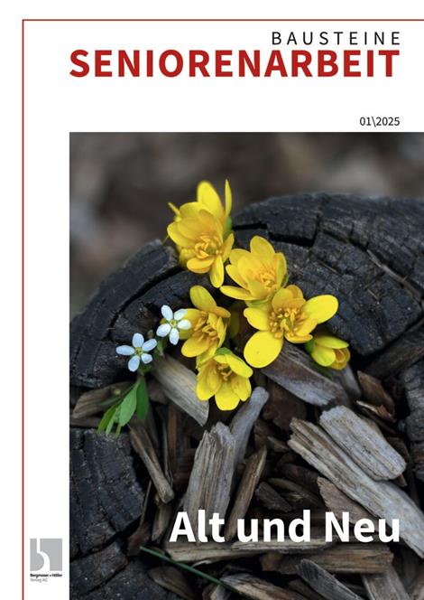 Bausteine-Seniorenarbeit-Abo