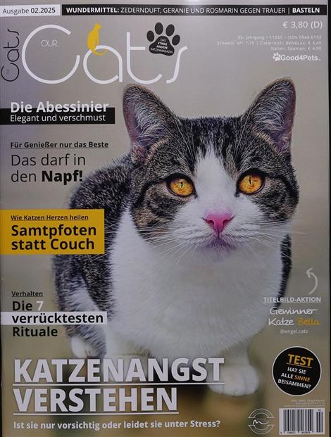 Our-Cats-Abo