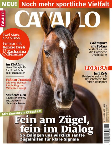 Cavallo-Abo
