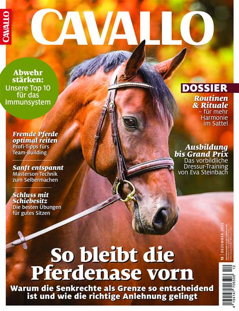 Cavallo-Abo