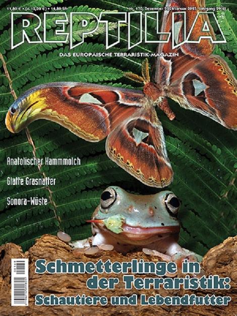 Reptilia-Abo