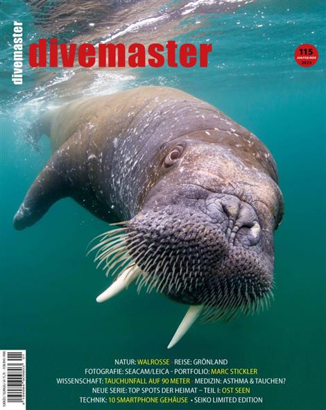 Divemaster-Abo