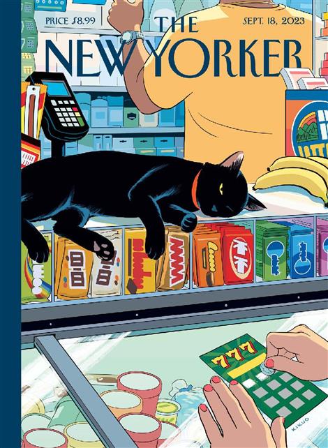 New-Yorker-Abo