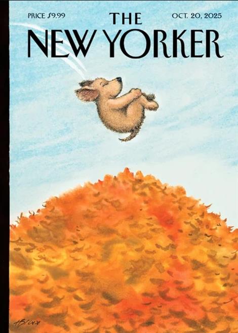 New-Yorker-Abo