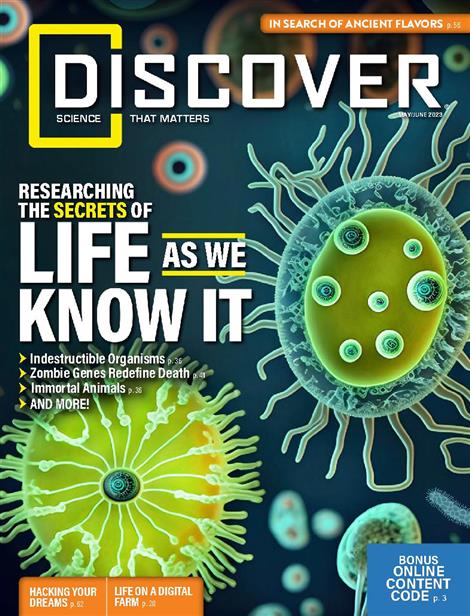 Discover-Abo
