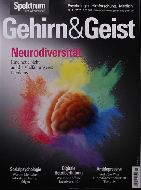 Gehirn-und-Geist-Abo