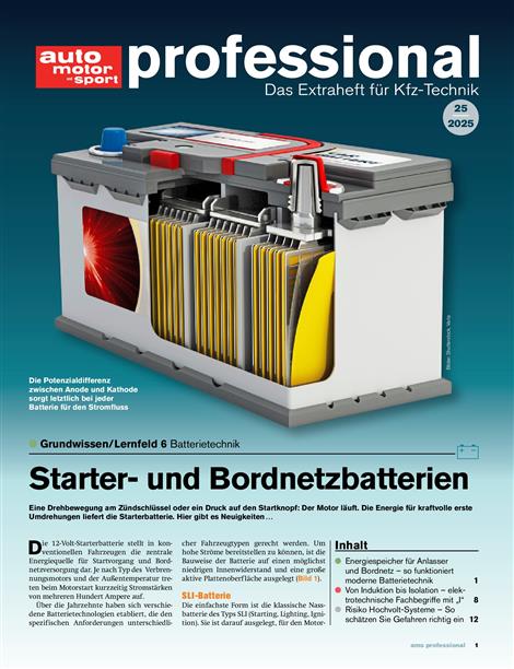 Auto-Motor-und-Sport-professional-Abo
