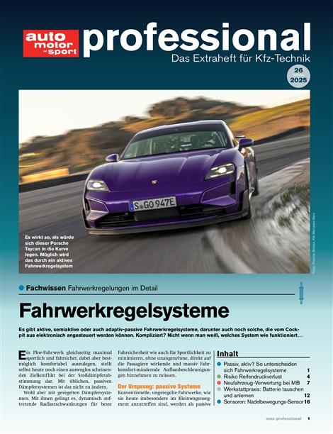 Auto-Motor-und-Sport-professional-Abo