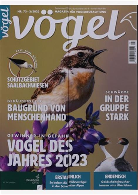 Voegel-Abo