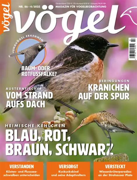 Voegel-Abo