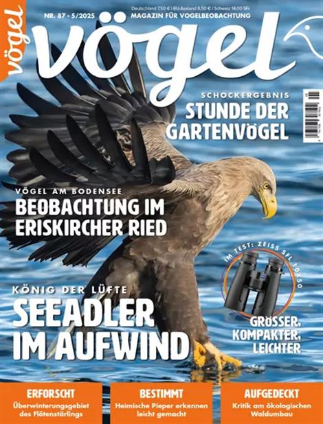 Voegel-Abo