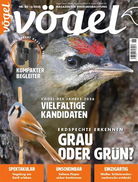 Voegel-Abo