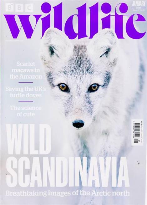 BBC-Wildlife-Abo