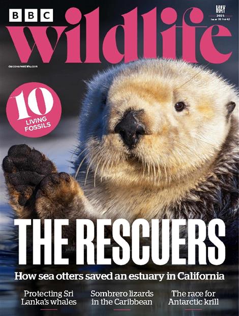 BBC-Wildlife-Abo