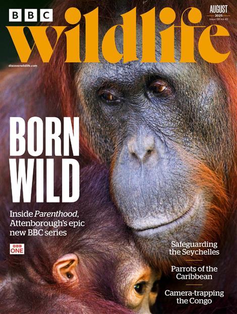 BBC-Wildlife-Abo