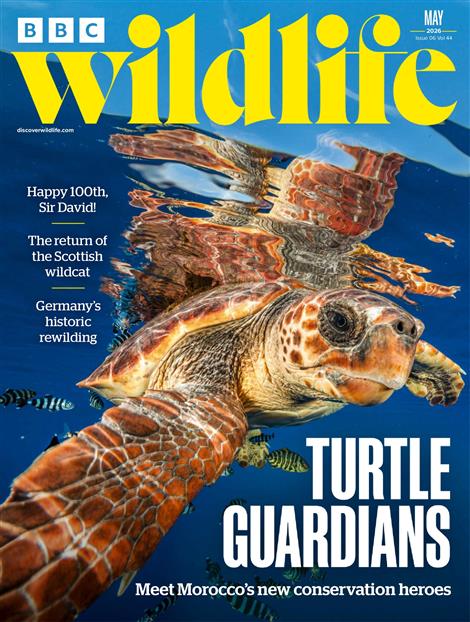 BBC-Wildlife-Abo