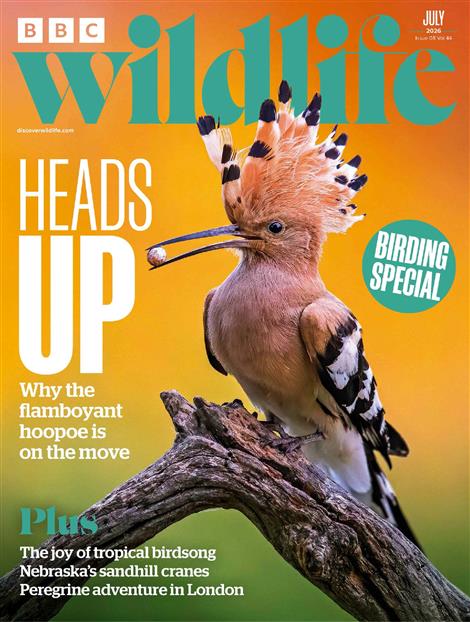 BBC-Wildlife-Abo