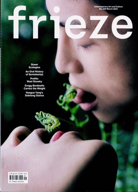 Frieze-International-Abo