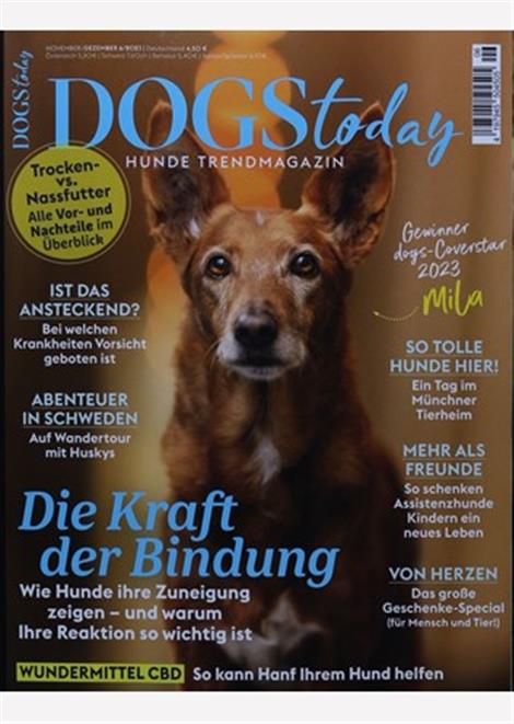 Dogs-Today-Abo