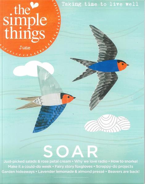 Simple-Things-UK-Abo