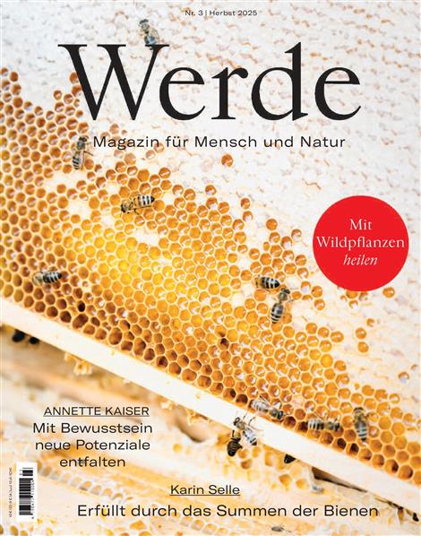 Werde-Abo