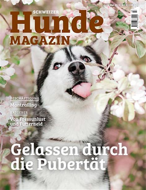 Hundemagazin-Schweiz-Abo