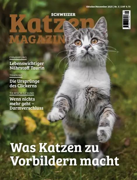 Katzenmagazin-Schweiz-Abo