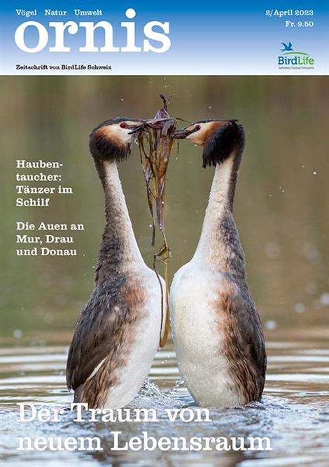 Ornis-Abo