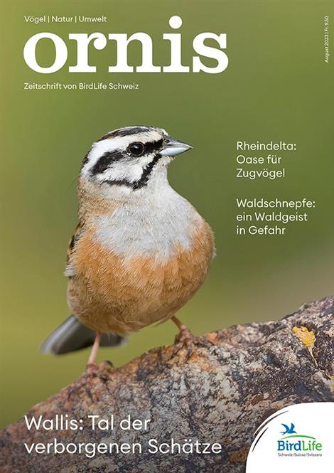 Ornis-Abo