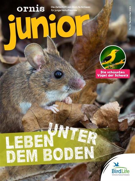 Ornis-Junior-Abo