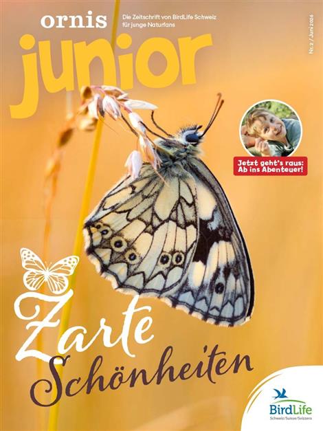 Ornis-Junior-Abo