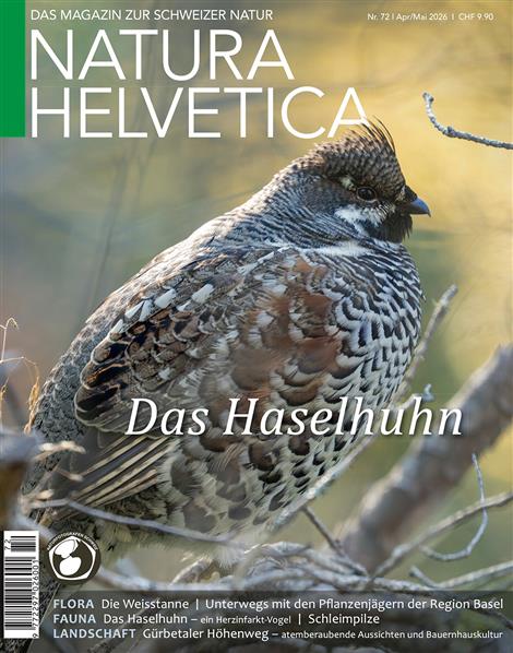 Natura-Helvetica-Abo
