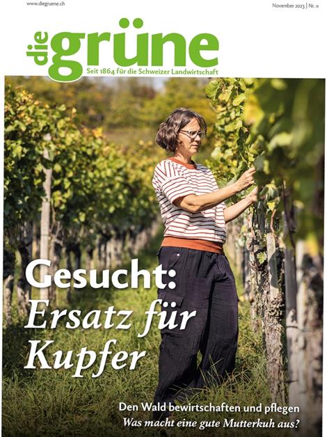 Die-Gruene-Abo