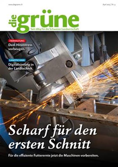 Die-Gruene-Abo