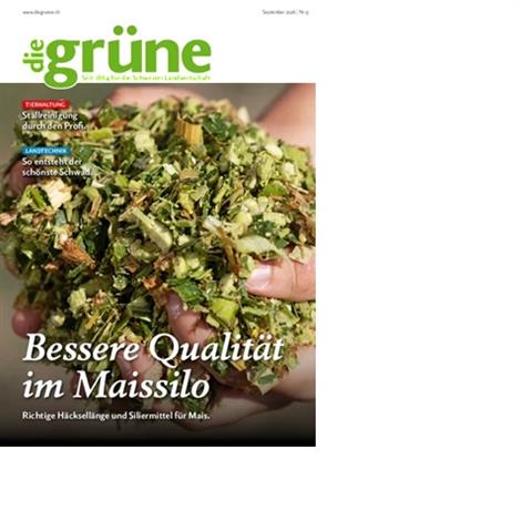 Die-Gruene-Abo