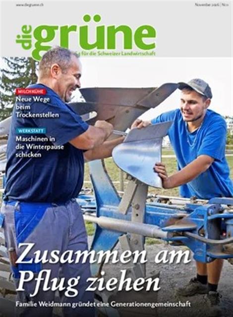 Die-Gruene-Abo