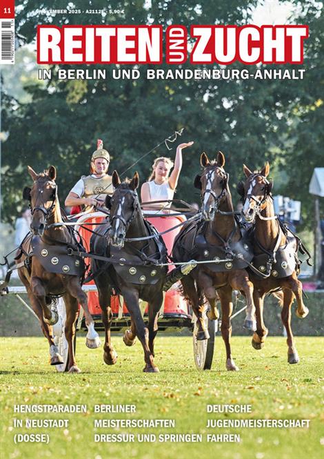 Reiten-und-Zucht-in-Berlin-und-Brandenburg-Anhalt-Abo