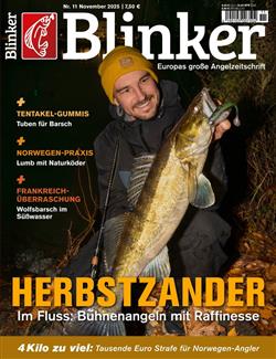 Blinker-Abo Cover