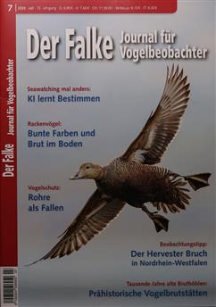 Falke-Abo Cover