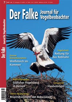 Falke-Abo Cover