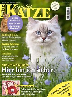 Geliebte-Katze-Abo